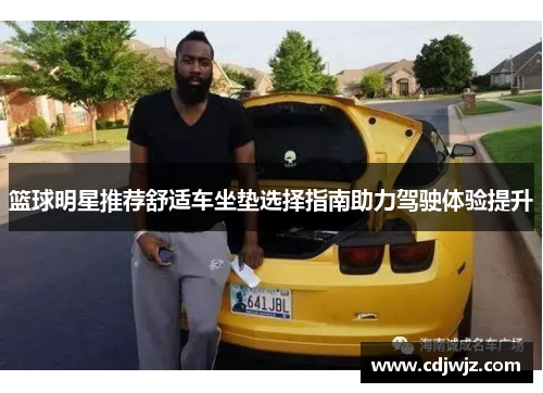 篮球明星推荐舒适车坐垫选择指南助力驾驶体验提升