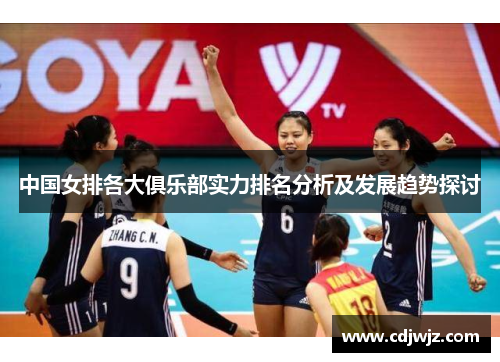 中国女排各大俱乐部实力排名分析及发展趋势探讨