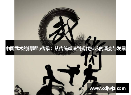 中国武术的精髓与传承：从传统拳法到现代技艺的演变与发展