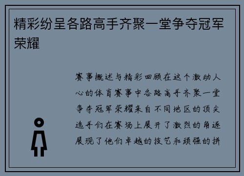 精彩纷呈各路高手齐聚一堂争夺冠军荣耀